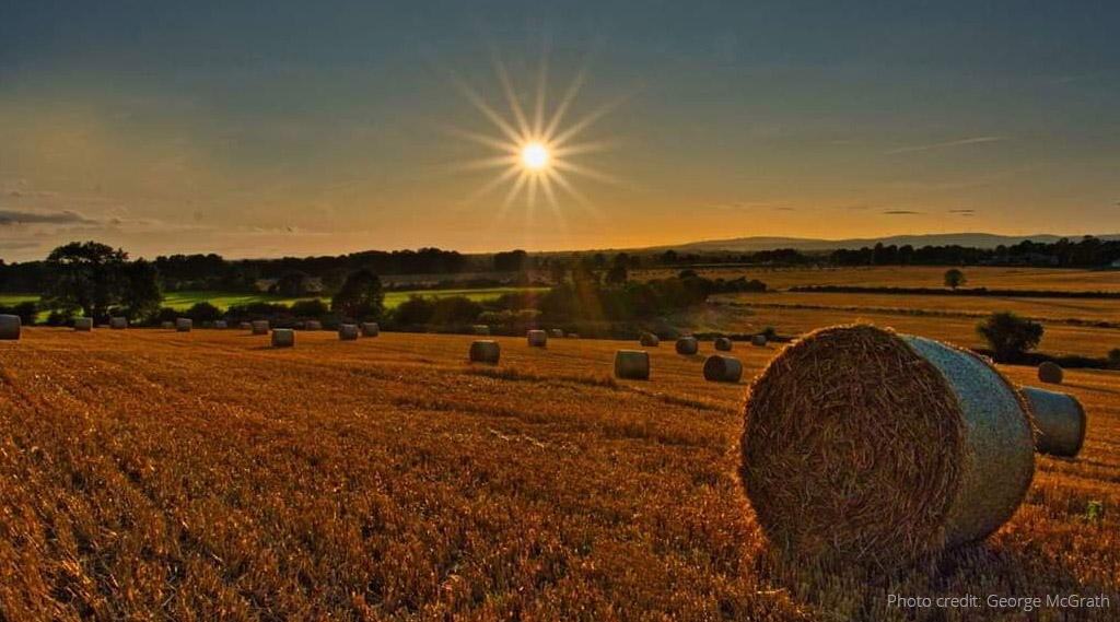 Harvest Thanksgiving Service